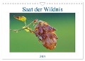 Saat der Wildnis (Wandkalender 2024 DIN A4 quer), CALVENDO Monatskalender - Clemens Stenner