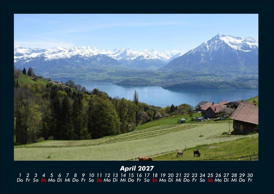 InsideView 8