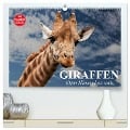 Giraffen. Dem Himmel so nah (hochwertiger Premium Wandkalender 2024 DIN A2 quer), Kunstdruck in Hochglanz - Elisabeth Stanzer