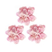 Cover-Bild zum Titel 'Seidenpapierblumen Wildrose, S, FSC MIX, Ø 13 cm, 3 Stk' von ''