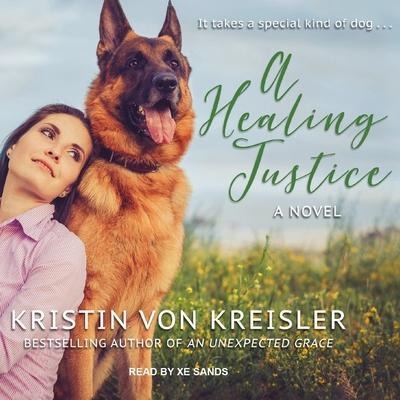 A Healing Justice Lib/E - Kristin Von Kreisler