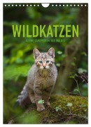 Cover-Bild zum Titel 'Wildkatzen - Kleine Samtpfoten des Waldes (Wandkalender 2027 DIN A4 hoch), CALVENDO Monatskalender' von 'Christina Krutz'