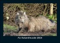 Für Katzenfreunde 2024 Fotokalender DIN A5 - Tobias Becker