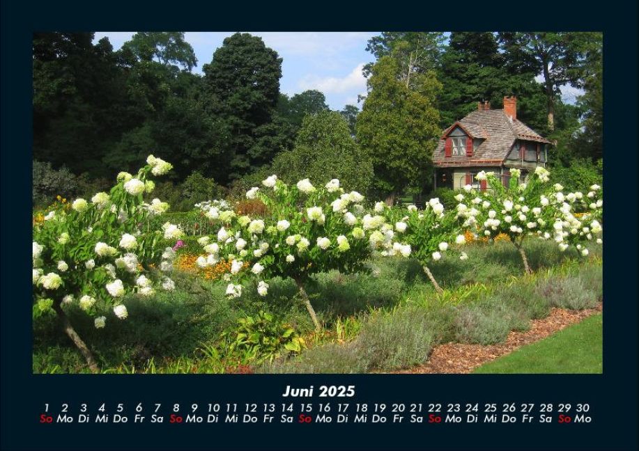 InsideView 10