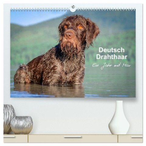 Deutsch Drahthaar - Ein Jahr mit Max (hochwertiger Premium Wandkalender 2025 DIN A2 quer), Kunstdruck in Hochglanz - Wuffclick-Pic Wuffclick-Pic