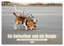 Cover-Bild zum Titel 'Ein Dalmatiner und ein Beagle - Auf der maritimen Jagd nach dem weltbesten Stock (Tischkalender 2026 DIN A5 quer), CALVENDO Monatskalender' von 'Daniela Tapper'