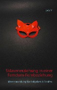 Cover-Bild zum Titel 'Sklavenerziehung in einer Femdom-Fernbeziehung' von 'Lady V'