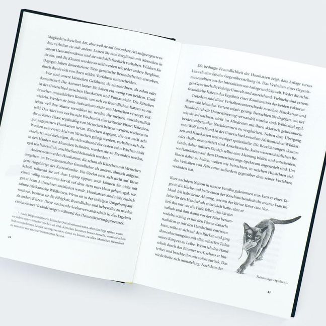 InsideView 5