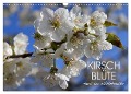 Kirschblüte rund um Witzenhausen (Wandkalender 2024 DIN A3 quer), CALVENDO Monatskalender - Sabine Löwer