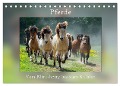 Pferde Vom Minishetty bis zum Kaltblut (Tischkalender 2025 DIN A5 quer), CALVENDO Monatskalender - Angelika Beuck