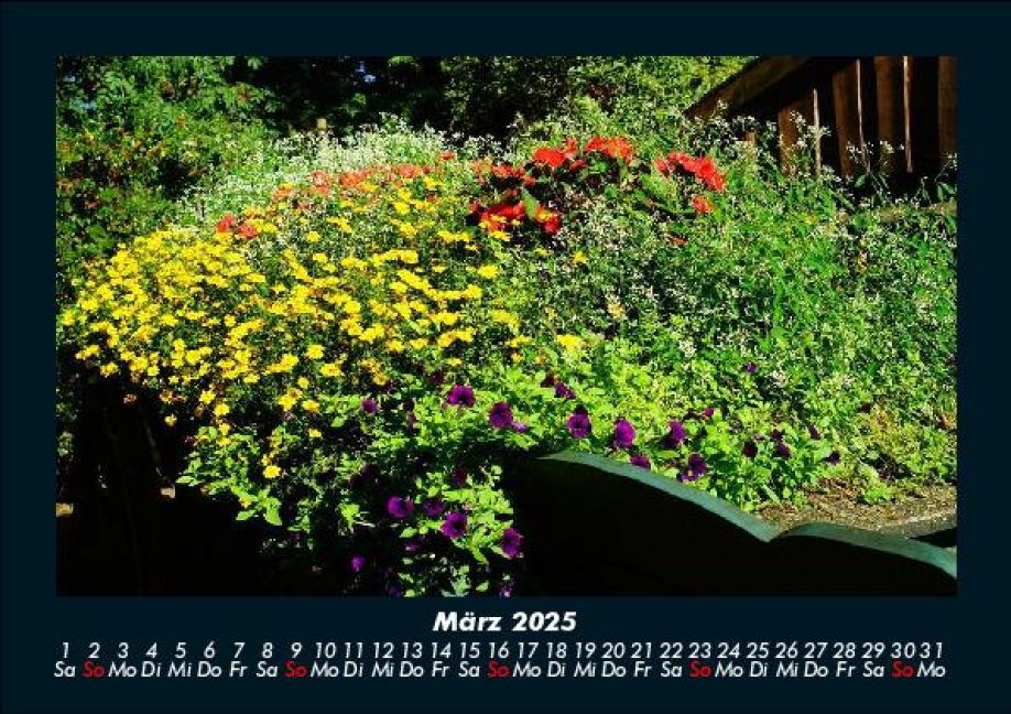 InsideView 7