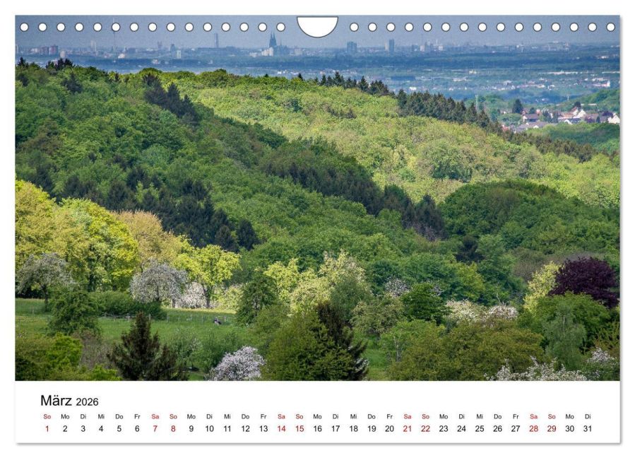 InsideView 8