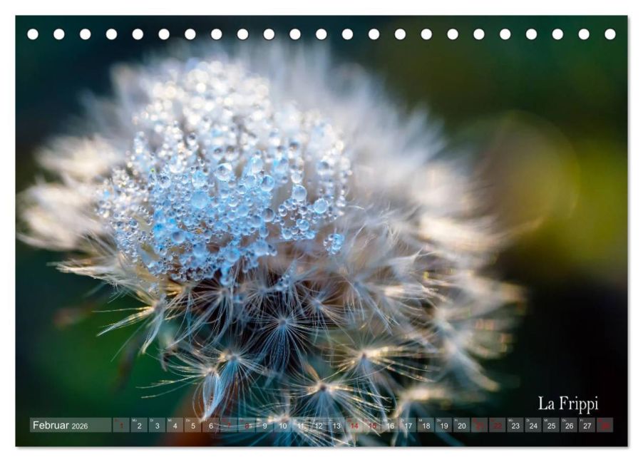InsideView 7