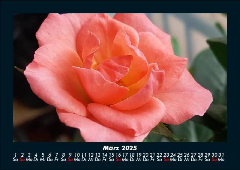 InsideView 7