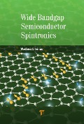 Cover-Bild zum Titel 'Wide Bandgap Semiconductor Spintronics' von 'Vladimir Litvinov'