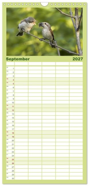 InsideView 14