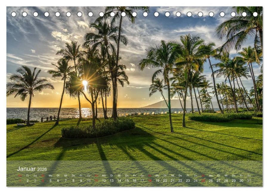InsideView 6