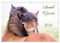 Islandpferde (Wandkalender 2024 DIN A4 quer), CALVENDO Monatskalender - Frauke Gimpel