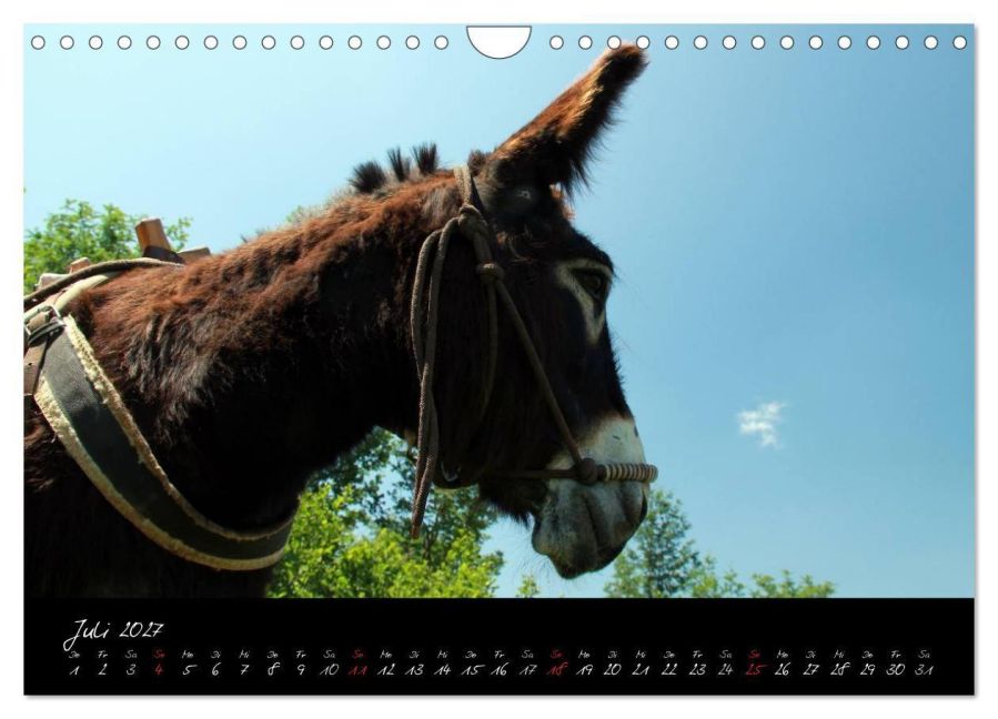 InsideView 12