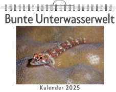 Cover-Bild zum Titel 'Bunte Unterwasserwelt' von 'Tim Münch'