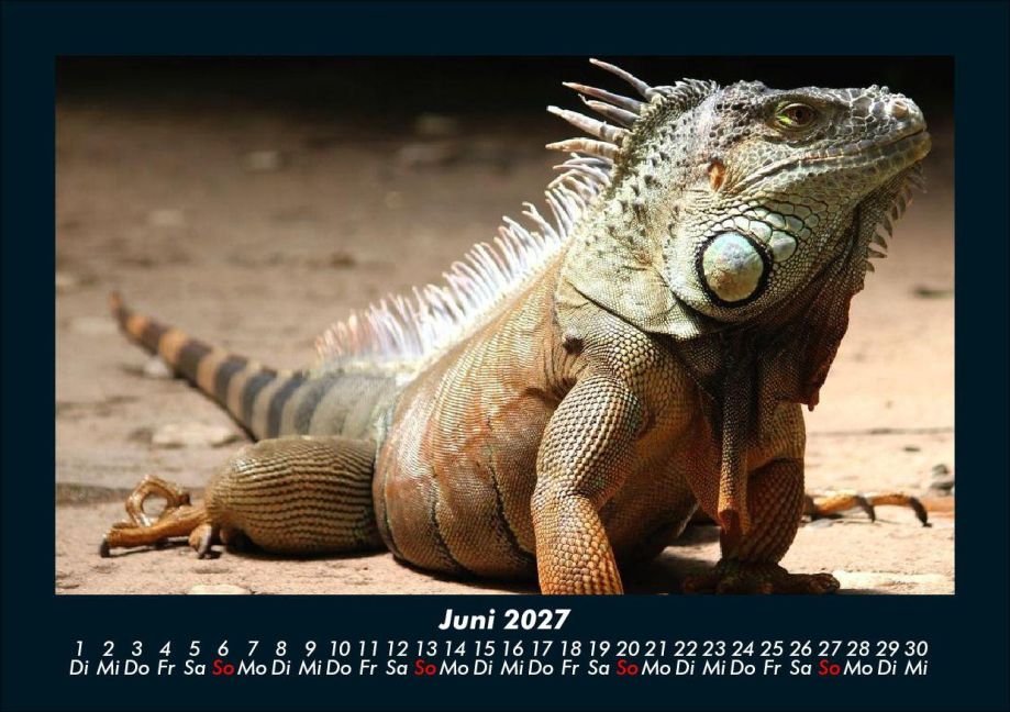 InsideView 10