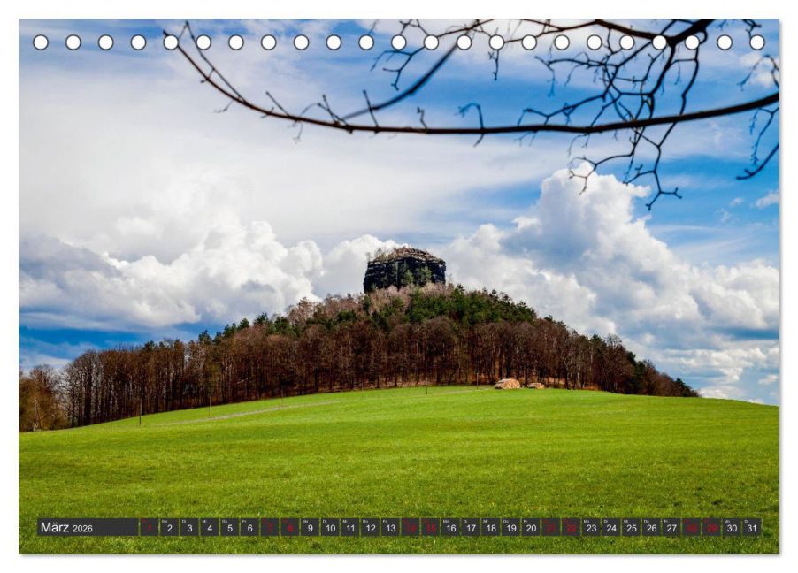 InsideView 8