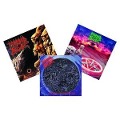 Cover-Bild zum Titel 'Altars/Domination/Gateways (3CD)' von 'Morbid Angel'
