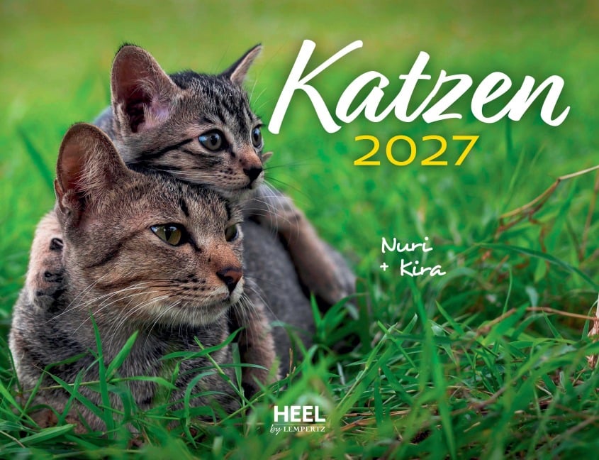Katzen 2027 Eintragkalender - 