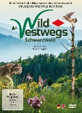 WildWestwegs - Schwarzwald - Marco Ruppert