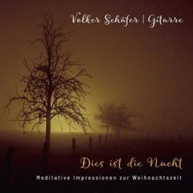 Dies ist die Nacht - Volker Schäfer