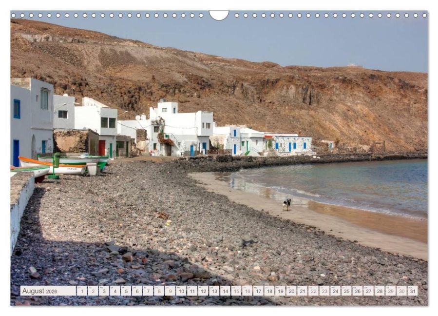 InsideView 13