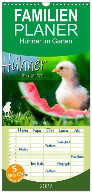 Familienplaner 2027 - Hühner im Garten mit 5 Spalten (Wandkalender, 21 x 45 cm) CALVENDO - Fotografie Zabel