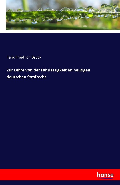 Zur Lehre von der Fahrlässigkeit im heutigen deutschen Strafrecht - Felix Friedrich Bruck