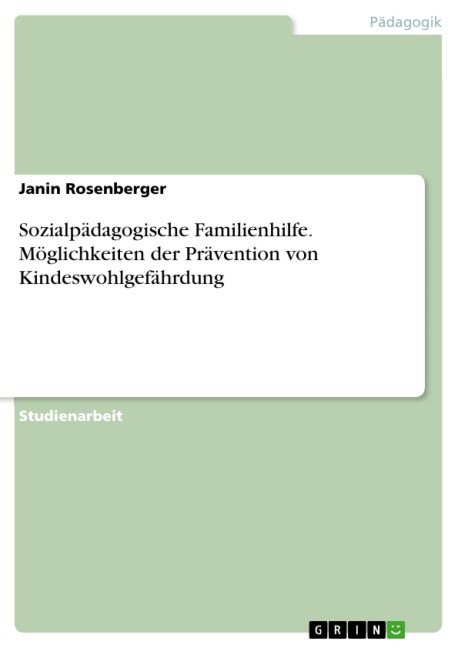 Sozialpädagogische Familienhilfe. Möglichkeiten der Prävention von Kindeswohlgefährdung - Janin Rosenberger
