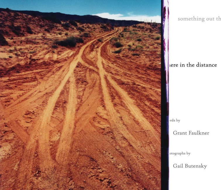 something out there in the distance - Grant Faulkner