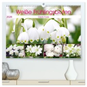 Cover-Bild zum Titel 'Weiße Frühlingsblüten (hochwertiger Premium Wandkalender 2026 DIN A2 quer), Kunstdruck in Hochglanz' von 'Gisela Kruse'