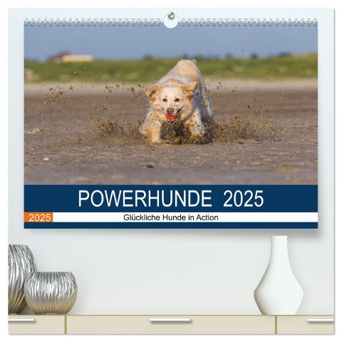 POWERHUNDE 2025 (hochwertiger Premium Wandkalender 2025 DIN A2 quer), Kunstdruck in Hochglanz - Annett Mirsberger