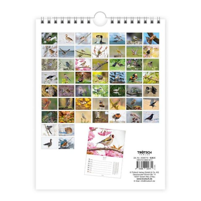 InsideView 5