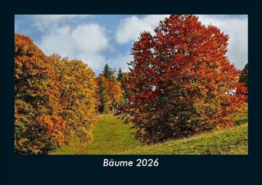 Bäume 2026 Fotokalender DIN A5 - Tobias Becker