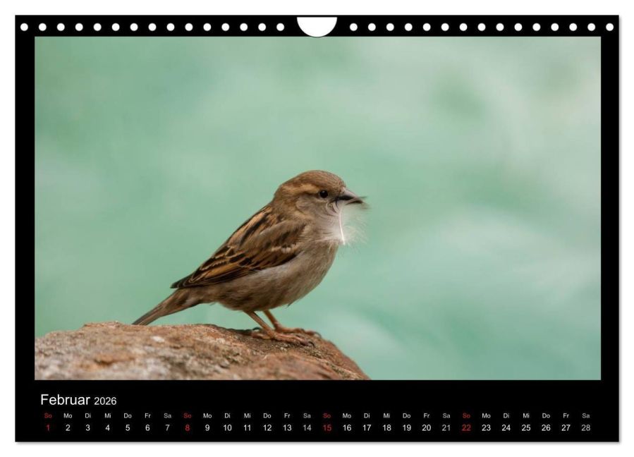 InsideView 7