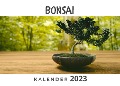 Cover-Bild zum Titel 'Bonsai' von 'Stefan Gruber'