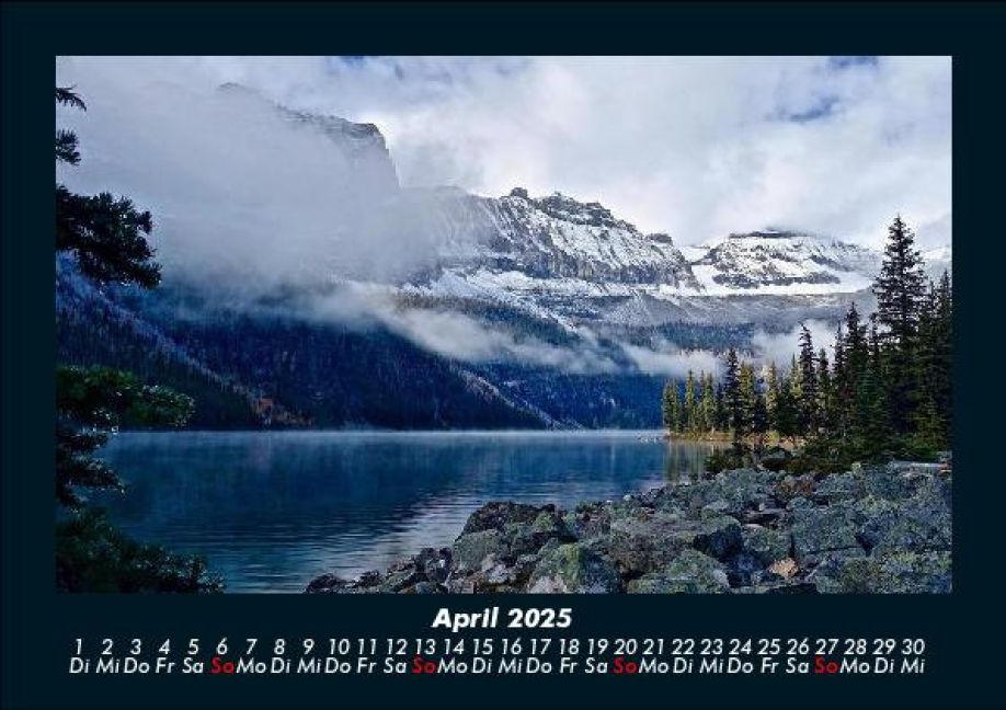 InsideView 8
