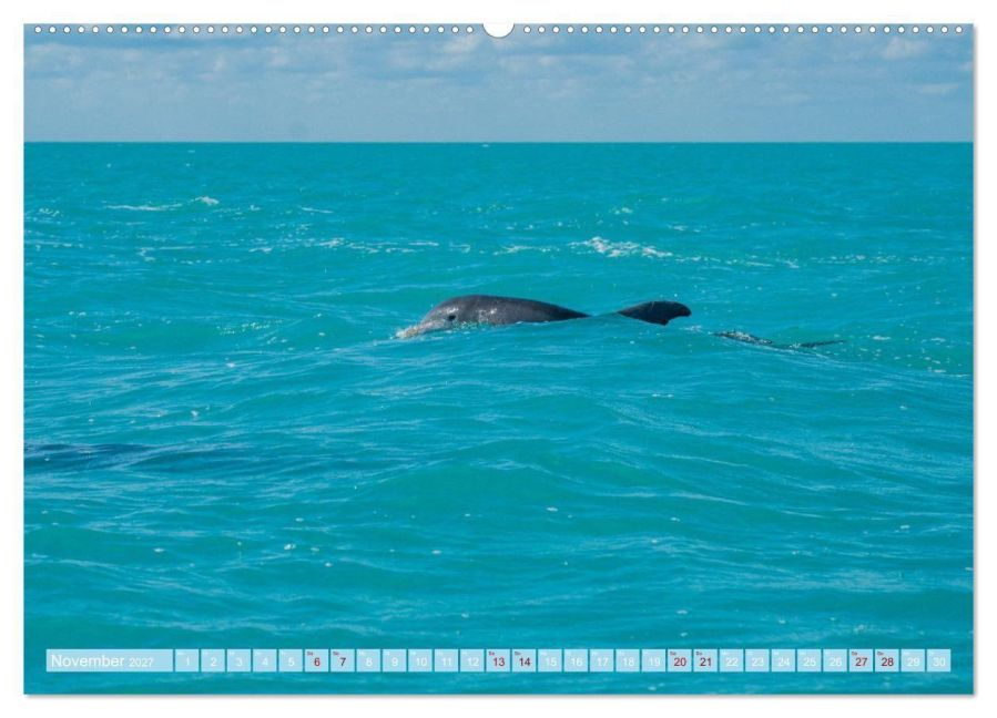 InsideView 12