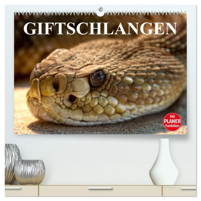 Giftschlangen (hochwertiger Premium Wandkalender 2026 DIN A2 quer), Kunstdruck in Hochglanz - Elisabeth Stanzer