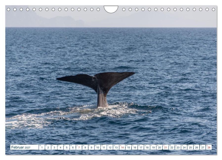 InsideView 7