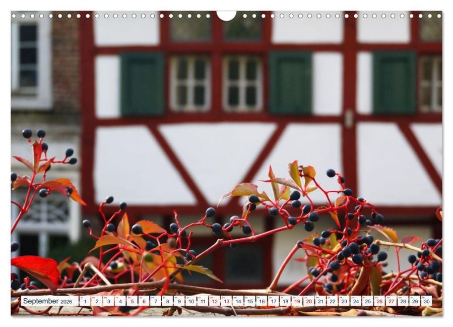 InsideView 14