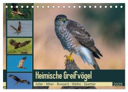Heimische GREIFVÖGEL Adler Milan Bussard Weihe Sperber (Tischkalender 2025 DIN A5 quer), CALVENDO Monatskalender - Arne Wünsche