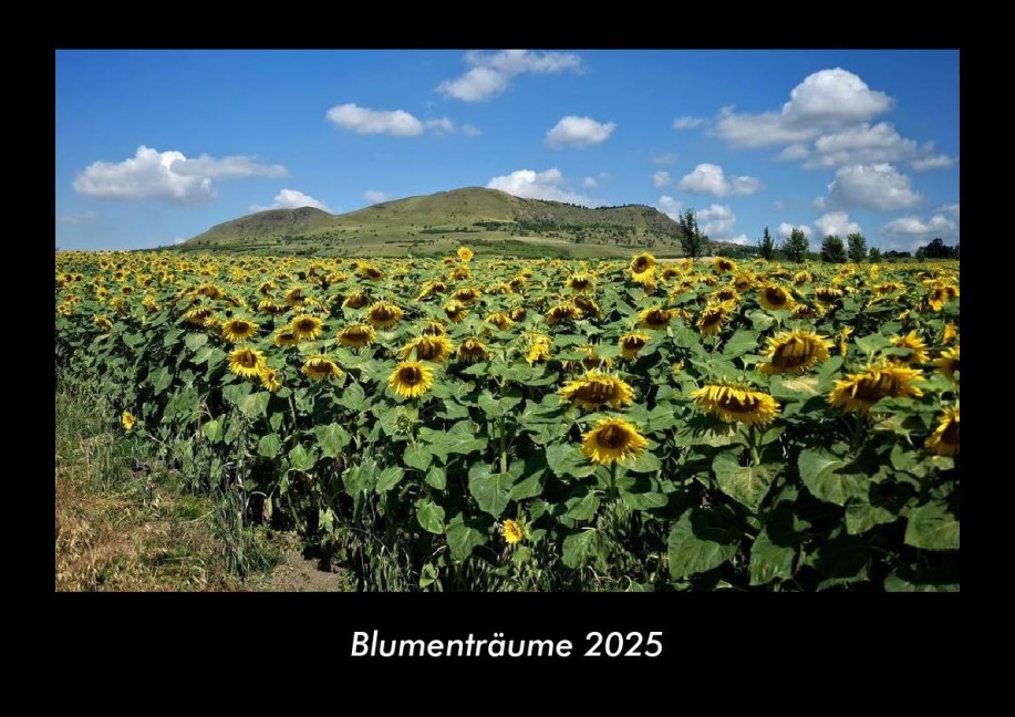 Blumenträume 2025 Fotokalender DIN A3 - Tobias Becker