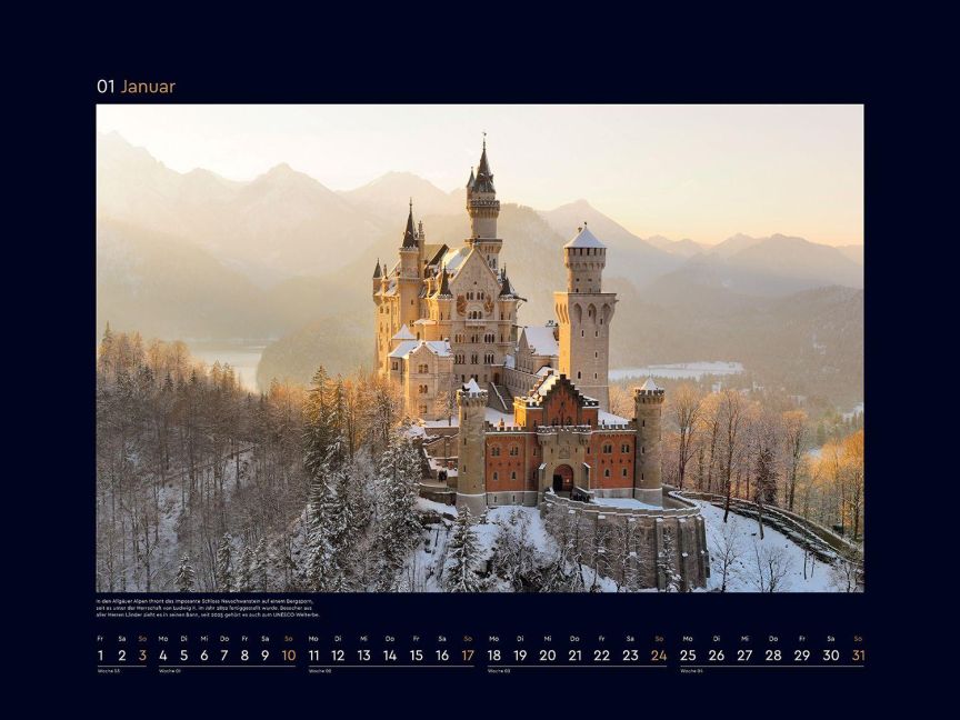 InsideView 12