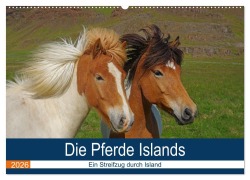 Cover-Bild zum Titel 'Die Pferde Islands - Ein Streifzug durch Island (Wandkalender 2026 DIN A2 quer), CALVENDO Monatskalender' von 'Reinhard Pantke'